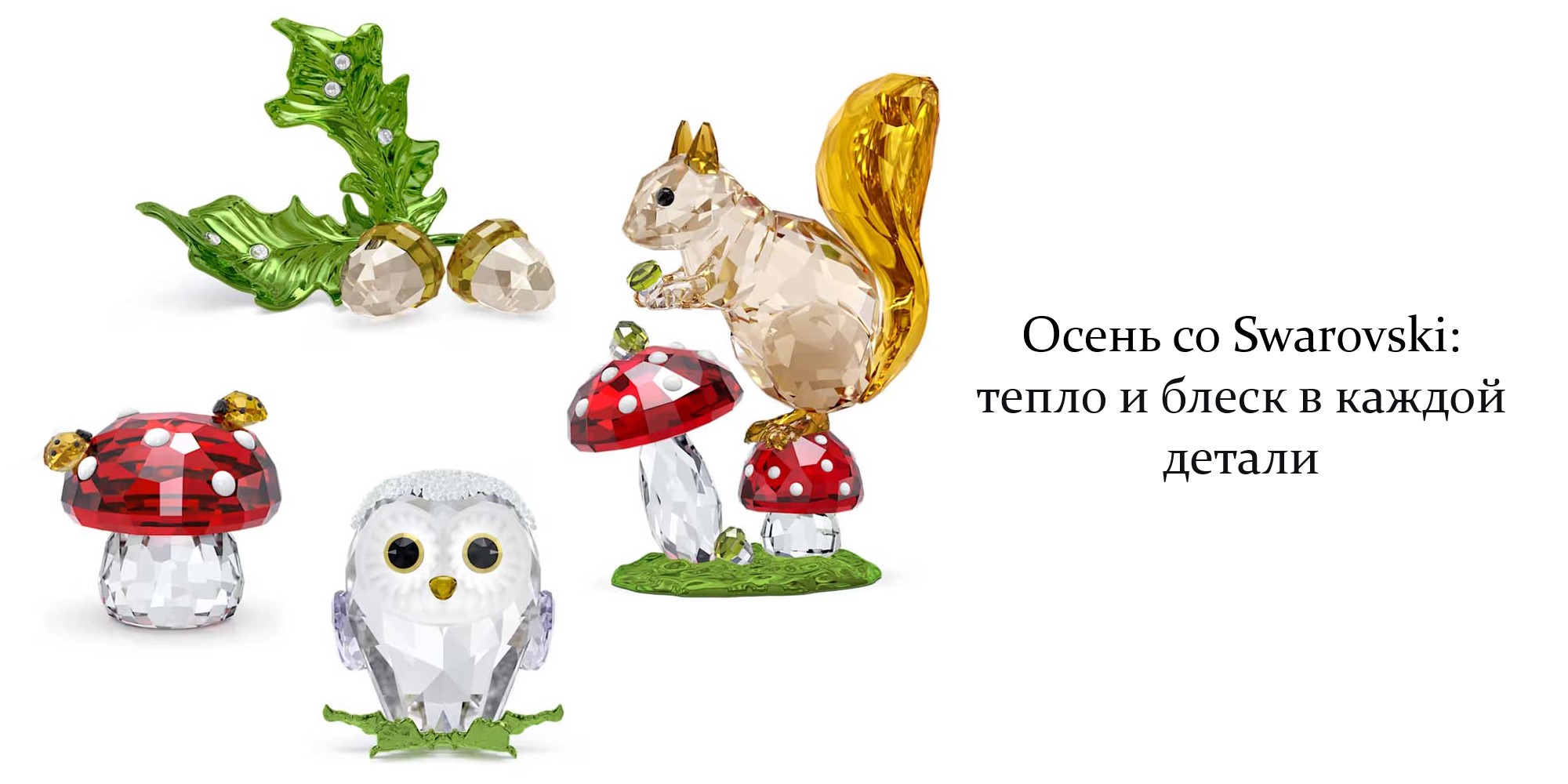 Банер 6